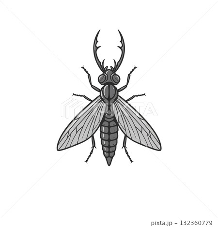 Insect Vector Icon Insect Vector Icon 132360779