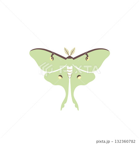 Insect Vector Icon 132360782