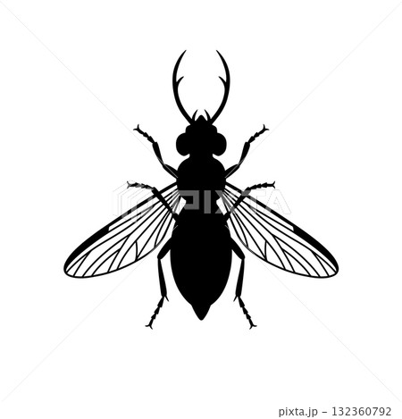Insect Vector Icon Insect Vector Icon 132360792