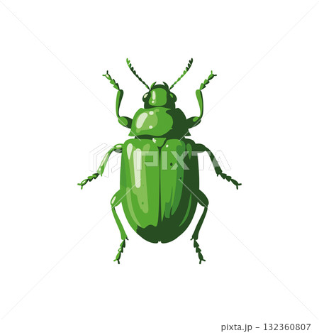 Insect Vector Icon Insect Vector Icon 132360807