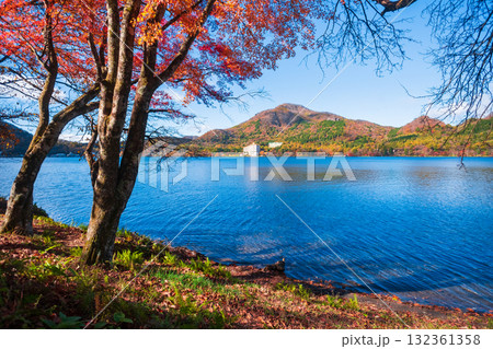 榛名山・榛名湖・掃部ヶ岳（秋） 132361358