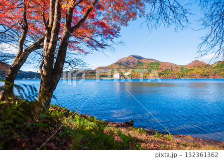 榛名山・榛名湖・掃部ヶ岳（秋） 132361362