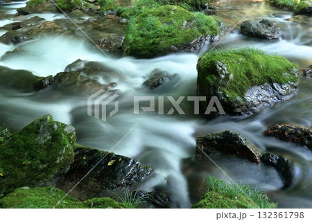 緩やかな流れ 小田深山渓谷 (愛媛県 内子町) 緩やかな流れ 小田深山渓谷 (愛媛県 内子町) 132361798