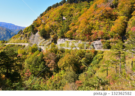 紅葉の中の白山白川郷ホワイトロード 132362582