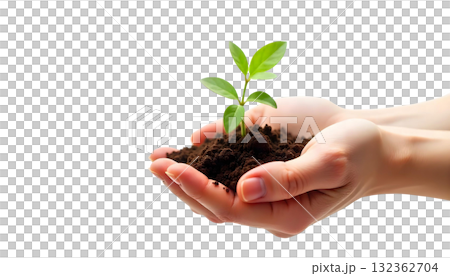 Hands nurturing a young plant with soil, set against a transparent background, representing sustainable agriculture and ecology 132362704