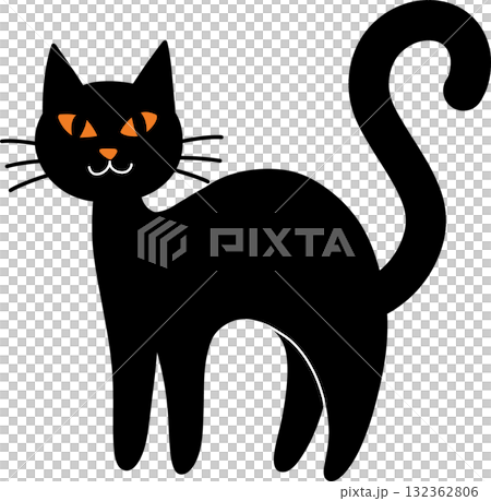 black cat with black eyes 132362806