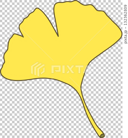 Autumn Ginkgo Tree Leaf Illustration 132362809