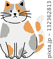 cute cat illustration 132362813