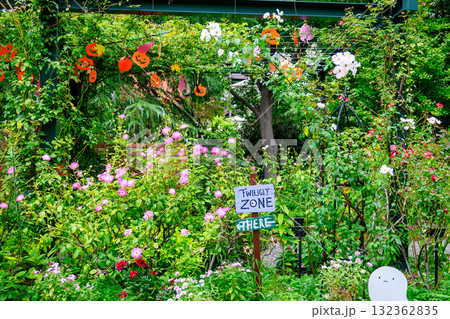 東京都練馬区 四季の香ローズガーデン 秋バラの季節 東京都練馬区 四季の香ローズガーデン 秋バラの季節 132362835
