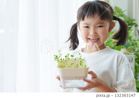 かいわれ大根 かいわれ大根 132363147