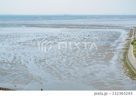 千葉　木更津海岸潮干狩場（中の島大橋から） 132363293