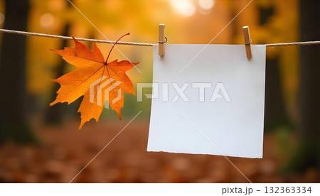 An autumn leaf and blank paper on a clothesline, capturing the essence of a peaceful forest in September An autumn leaf and blank paper on a clothesline, capturing the essence of a peaceful forest in September 132363334
