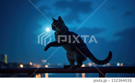 Fearless Feline Walking Along Balcony Railing Illuminated By City Lights 132364038