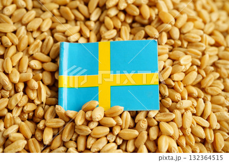 Sweden flag on grain wheat, trade export and economy concept. 132364515