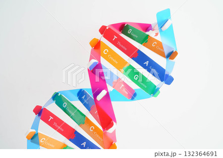DNA molecule spiral structure model isolated on white background, chromosome and gene chemical science biology. DNA molecule spiral structure model isolated on white background, chromosome and gene chemical science biology. 132364691