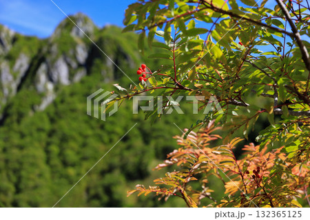 北アルプス　秋の涸沢カールへの道　ナナカマドと屏風ノ頭の絶景 132365125