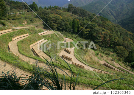 高千穂・三合地区の棚田 132365346