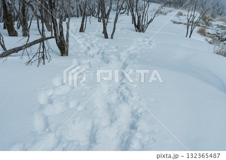 雪山の登山道02 132365487