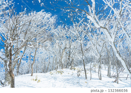 赤城山の雪晴れ28 132366036