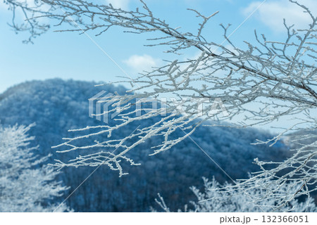 冬の赤城山の雪持ち05 冬の赤城山の雪持ち05 132366051