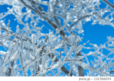 冬の赤城山の雪持ち07 冬の赤城山の雪持ち07 132366054