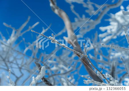 冬の赤城山の雪持ち08 132366055