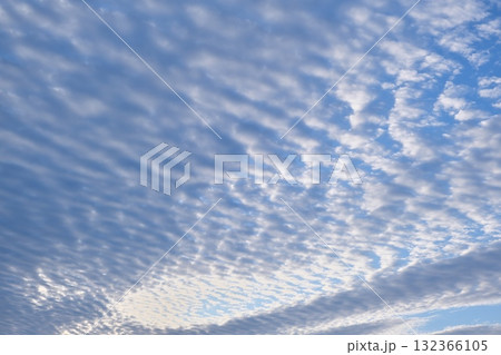 初秋のいわし雲 初秋のいわし雲 132366105