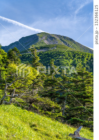 薊畑分岐から見る前聖岳と小聖岳　南アルプス聖岳と兎岳登山 132366125