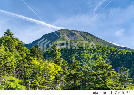 薊畑分岐から見る前聖岳と小聖岳 南アルプス聖岳と兎岳登山 薊畑分岐から見る前聖岳と小聖岳 南アルプス聖岳と兎岳登山 132366126