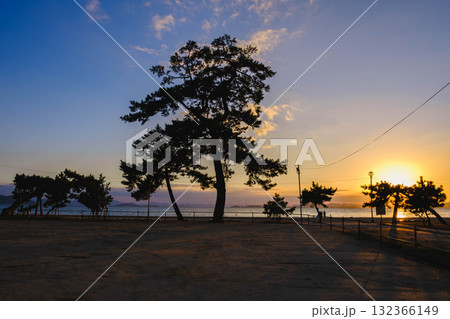[渋川海岸]夕日の光に包まれた風景 132366149