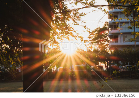 [渋川海岸]夕日の光に包まれた風景 132366150
