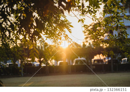 [渋川海岸]夕日の光に包まれた風景 132366151