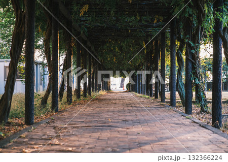 [渋川海岸]海岸沿いの通り 132366224