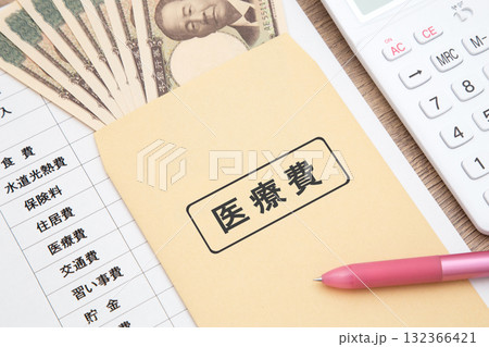 医療費(家計 家計簿) 医療費(家計 家計簿) 132366421