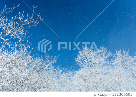 赤城山の雪晴れ19 132366503