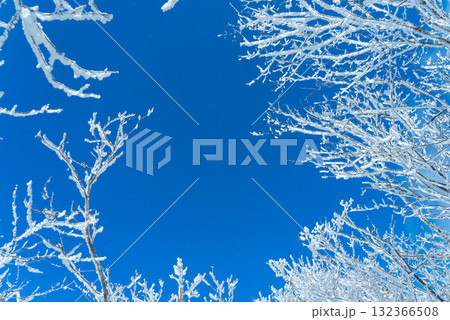 赤城山の雪晴れ24 132366508