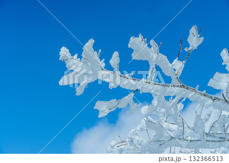 冬の赤城山の霧氷10 132366513