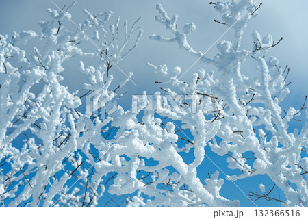 冬の赤城山の霧氷13 冬の赤城山の霧氷13 132366516