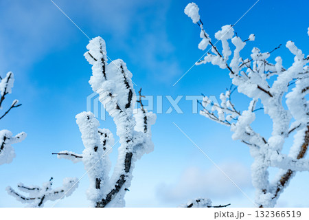 冬の赤城山の霧氷16 132366519