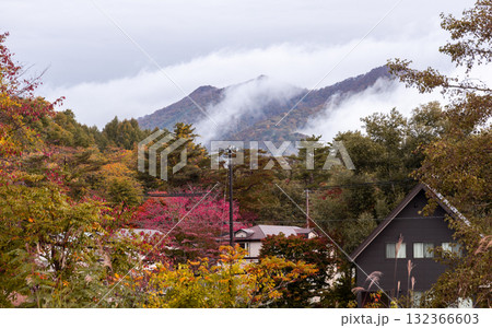 紅葉の観光地の風景 132366603