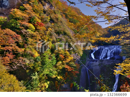 紅葉の袋田の滝 紅葉の袋田の滝 132366699