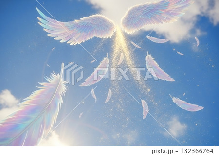 羽ばたく羽のような神秘的な空 羽ばたく羽のような神秘的な空 132366764