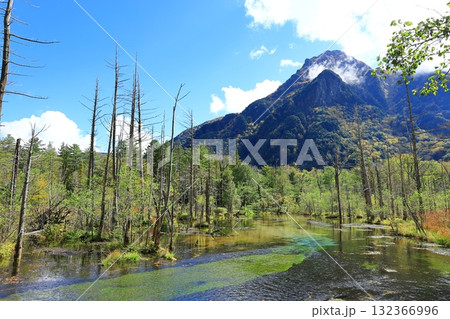 岳沢湿原から見る六百山 岳沢湿原から見る六百山 132366996