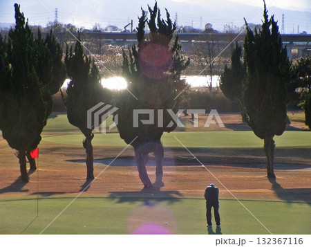 整備されたグリーンと糸杉のコントラスト(2017.12.6) 利根川左岸の河川敷 上武大橋見える 132367116