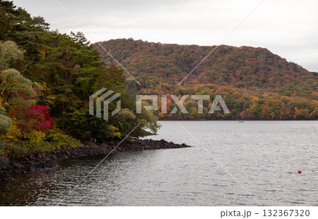 徐々に色づいてきた磐梯山の桧原湖畔の秋の風景 132367320
