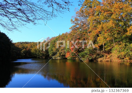 震生湖の周りを取り囲む色付いた木々 震生湖の周りを取り囲む色付いた木々 132367369