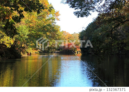 震生湖の周りを取り囲む色付いた木々 132367371