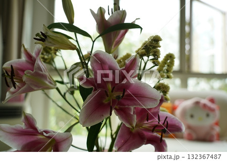 oriental hybrid lilies bloom with pink petals and sweet fragrance 132367487