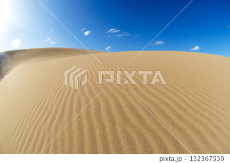 風紋（鳥取砂丘） 132367530
