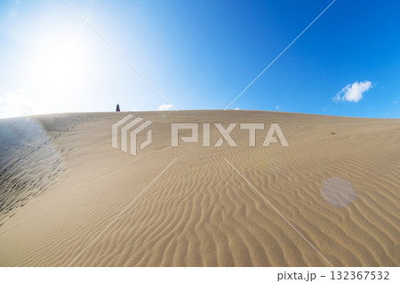 風紋（鳥取砂丘） 132367532